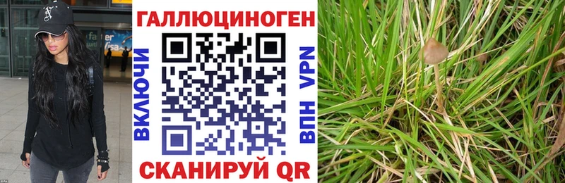 Галлюциногенные грибы ЛСД  Полесск 